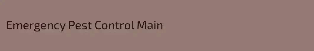Emergency Pest Control Main
